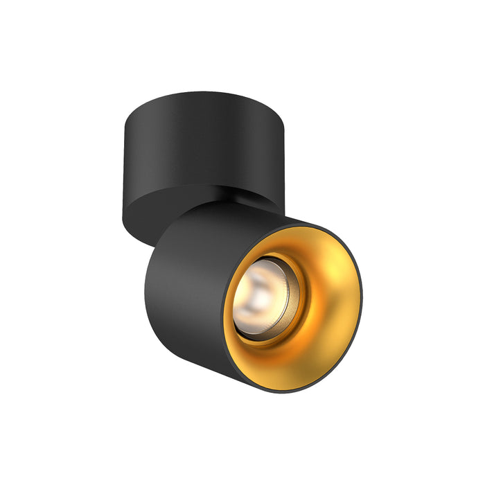 Cevon Surface Mount Tilt/Rotate Spot - Black with Gold reflector 14W 3000K CRI97 60D - Dimmable